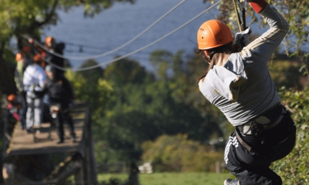 Old Black Lion Interior